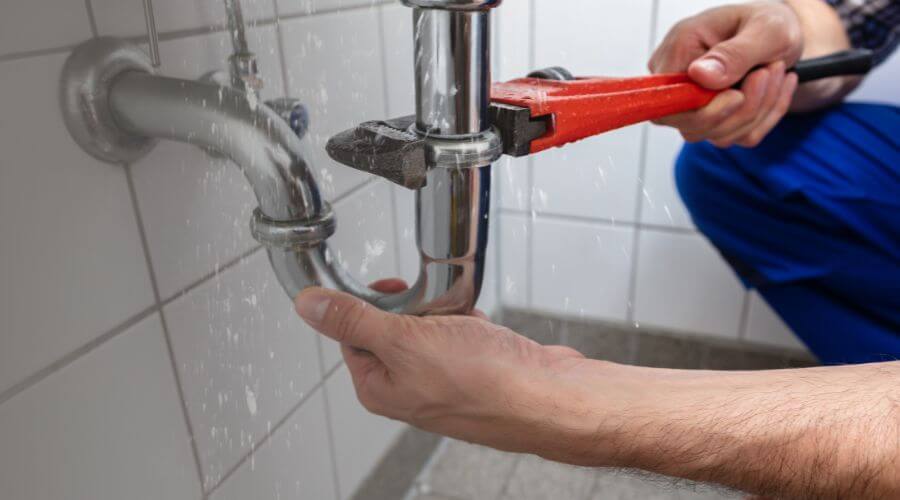 Professional Leak Detection services in Wilson, MI